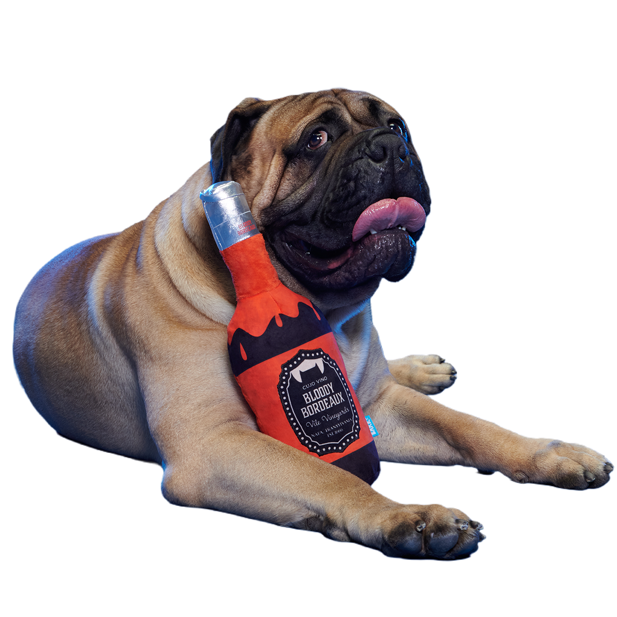 Hallowine Plush Extra-Large + Tug Dog Toy