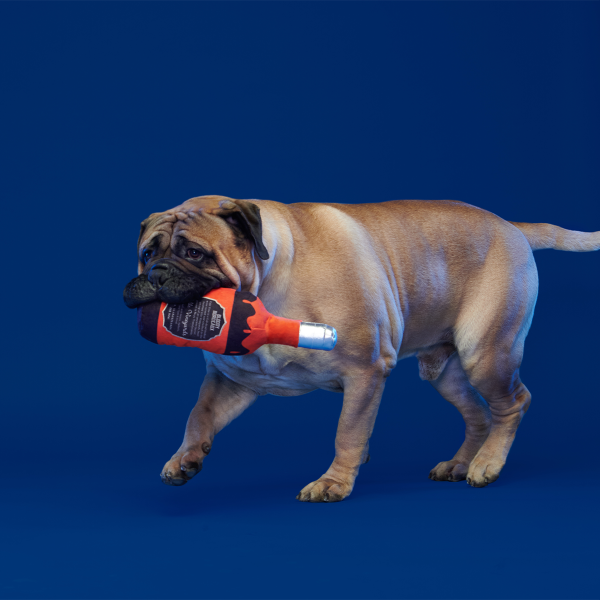 Hallowine Plush Extra-Large + Tug Dog Toy