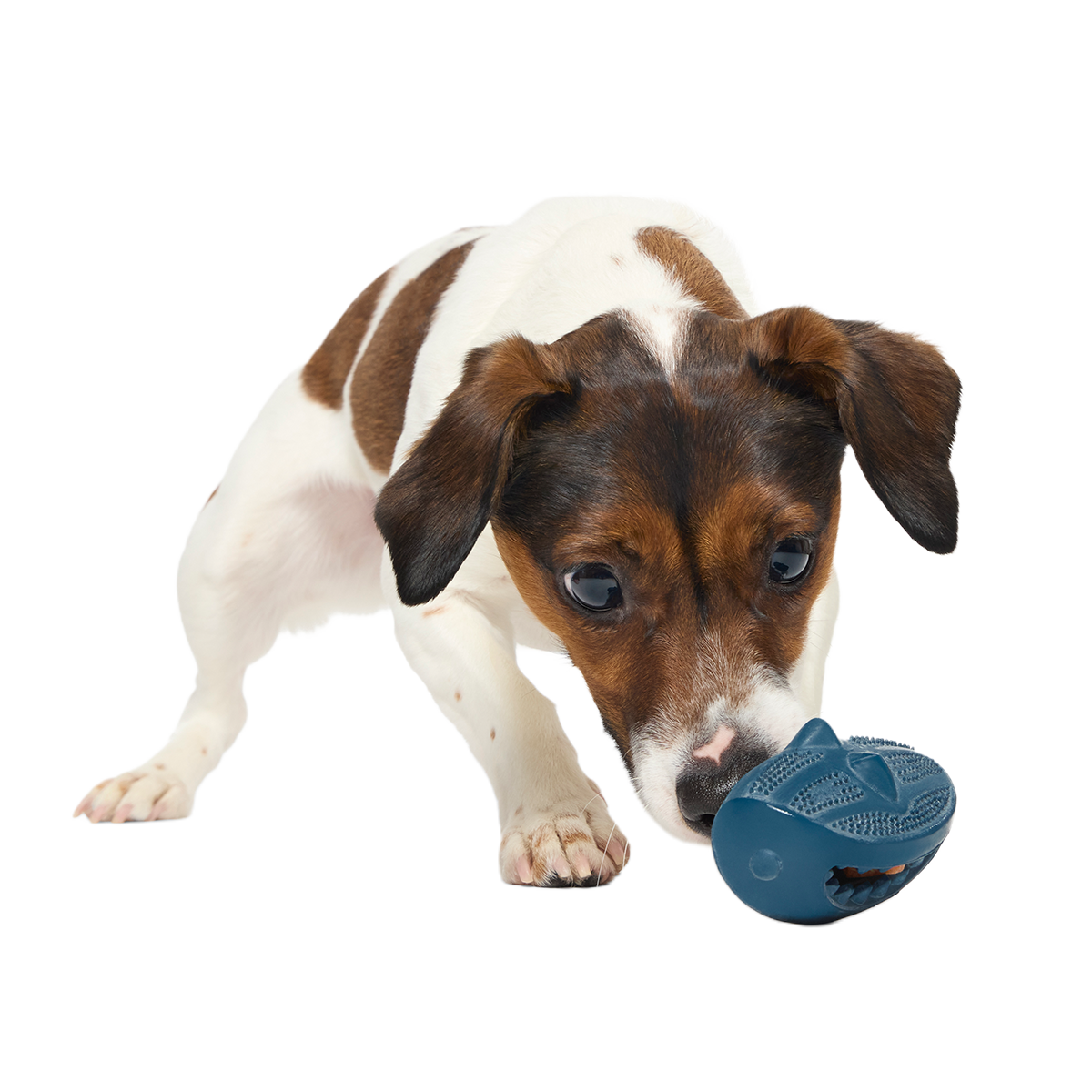 Hammer Fed Shark Super Chewer Durable Enrichment Dog Toy