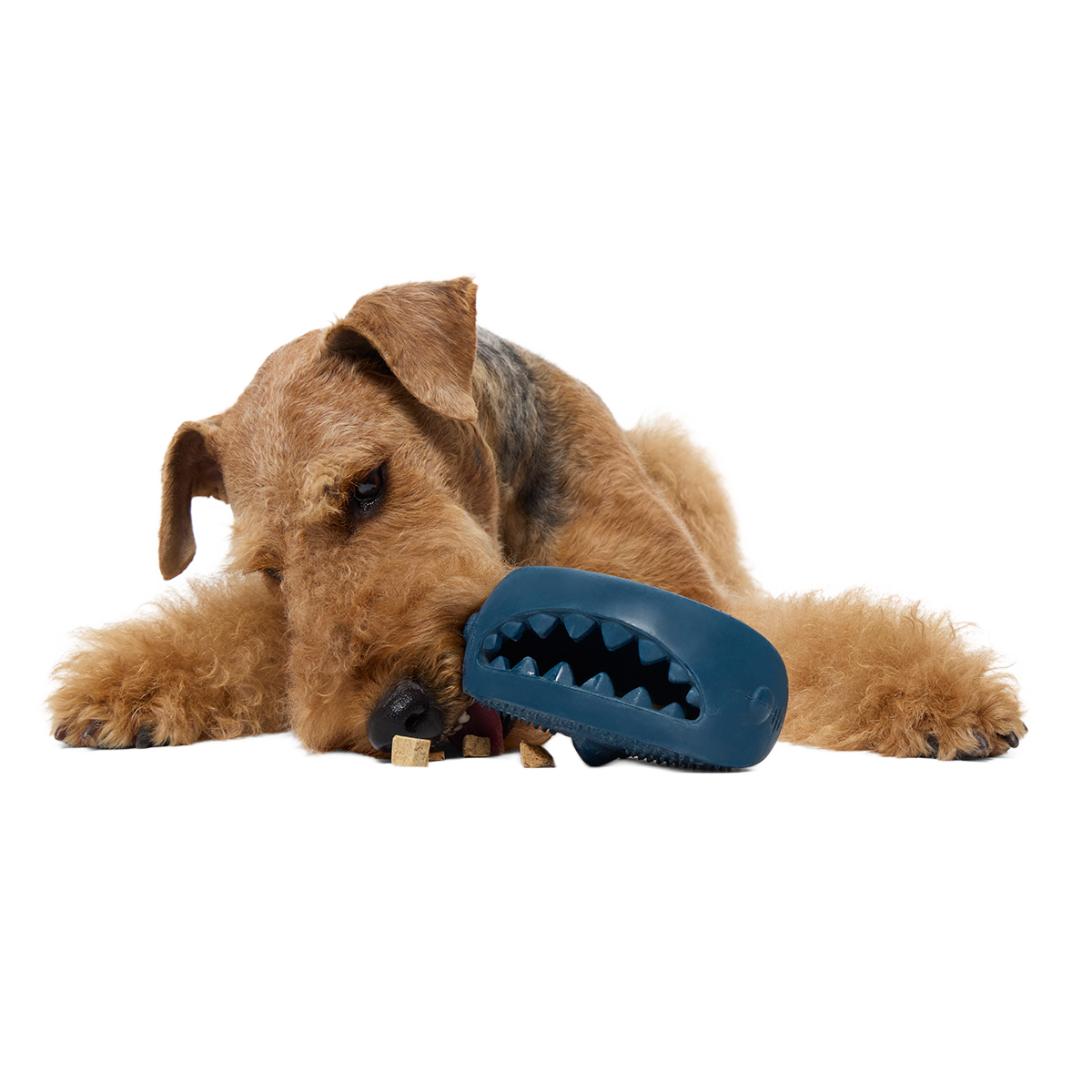 Hammer Fed Shark Super Chewer Durable Enrichment Dog Toy