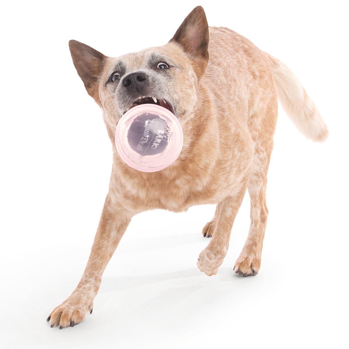 Happy Fun Eyeball Super Chewer Durable Fetch Dog Toy