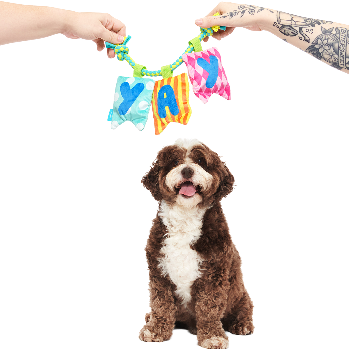 Happy Yay Banner Plush Tug Dog Toy