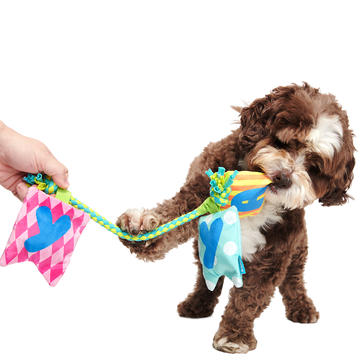 Happy Yay Banner Plush Tug Dog Toy