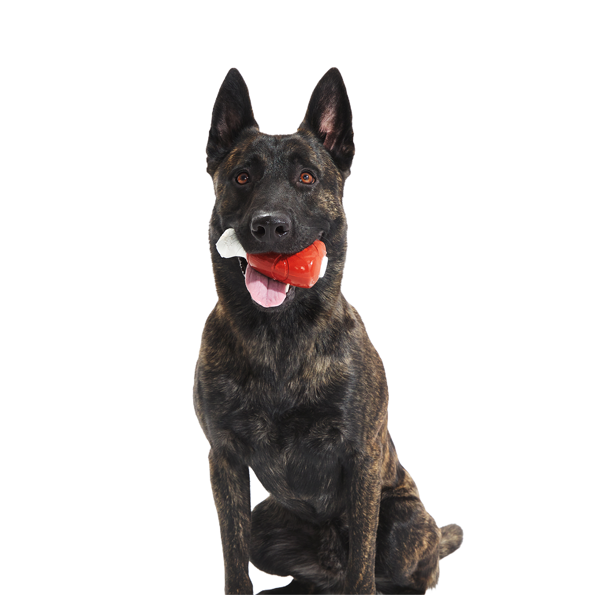 Hardy Ham Super Chewer Durable Gnaw Dog Toy