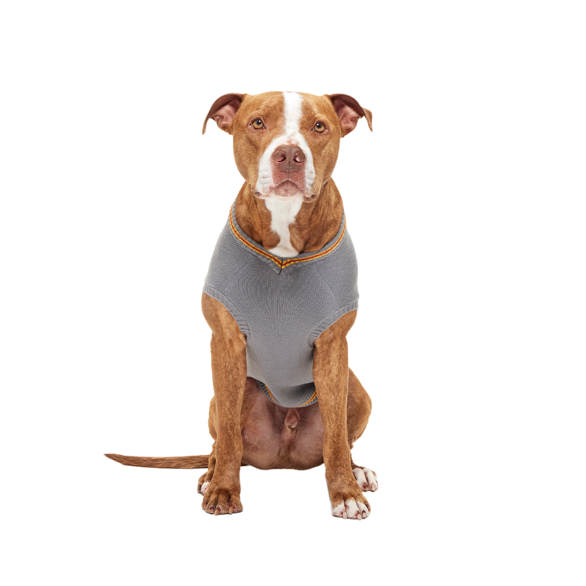 HARRY POTTER™ House Dog Sweater#Style_Gryffindor™