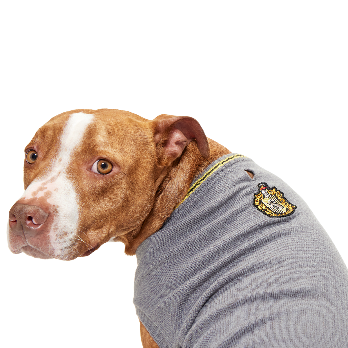 HARRY POTTER™ House Dog Sweater#Style_Hufflepuff™