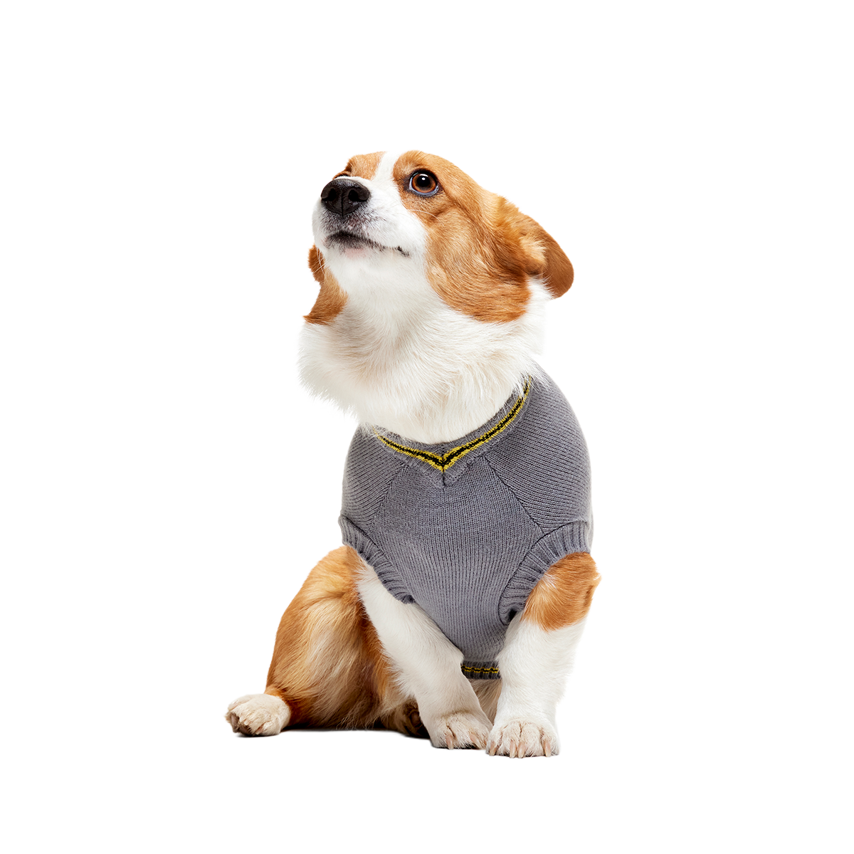 HARRY POTTER™ House Dog Sweater#Style_Hufflepuff™