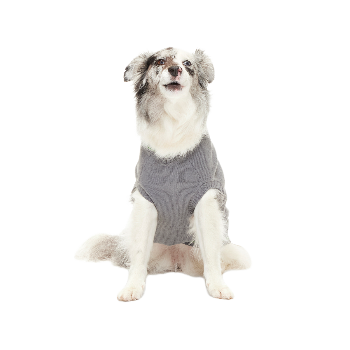 HARRY POTTER™ House Dog Sweater#Style_Slytherin™