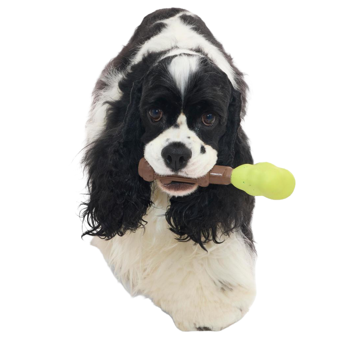 Harry's Bogey™ Wand Super Chewer Durable Gnaw Dog Toy