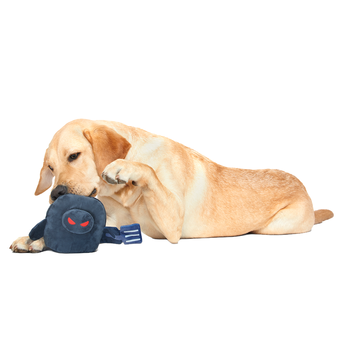 Hash-Slinging Slasher Plush 2-in-1 Dog Toy