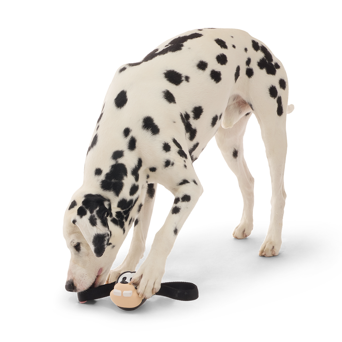 Hats Off Goofy Super Chewer Durable Tug Dog Toy