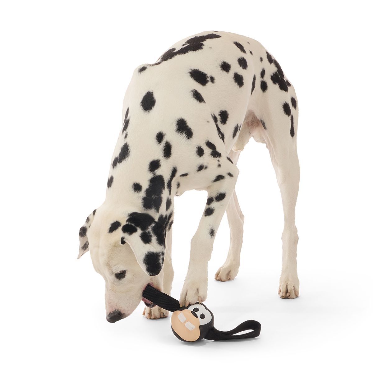 Hats Off Goofy Super Chewer Durable Tug Dog Toy