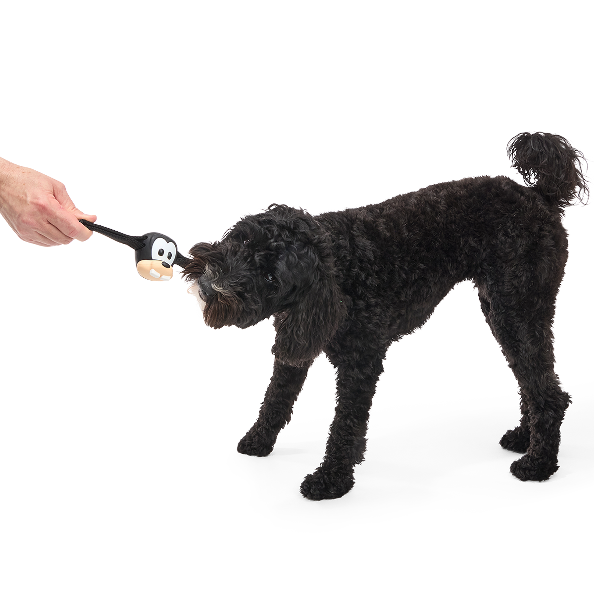 Hats Off Goofy Super Chewer Durable Tug Dog Toy