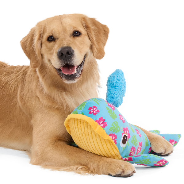 Hawaiian Humpbark Whale Plush Tug + Extra-Large Dog Toy – BARK