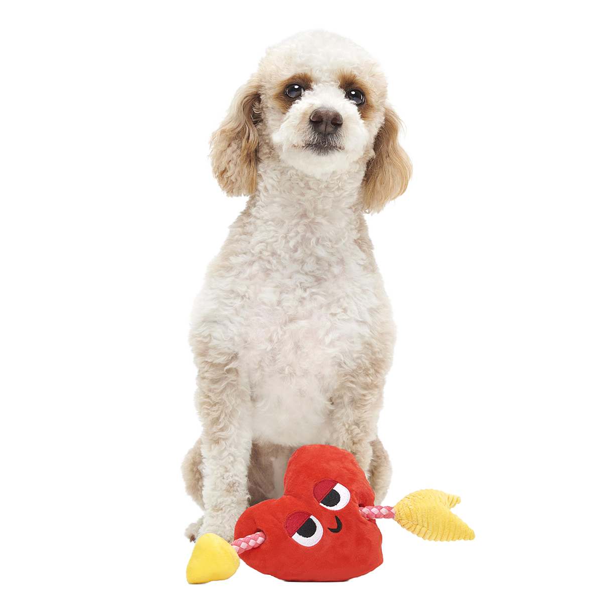 Heart Throbert Plush Tug Dog Toy