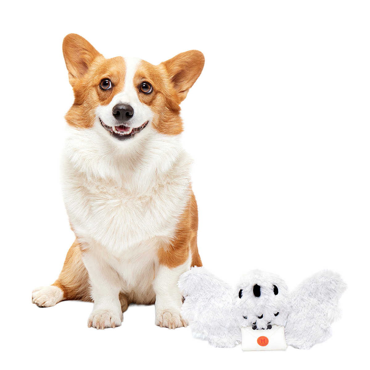 Hedwig™ Plush Tug Dog Toy