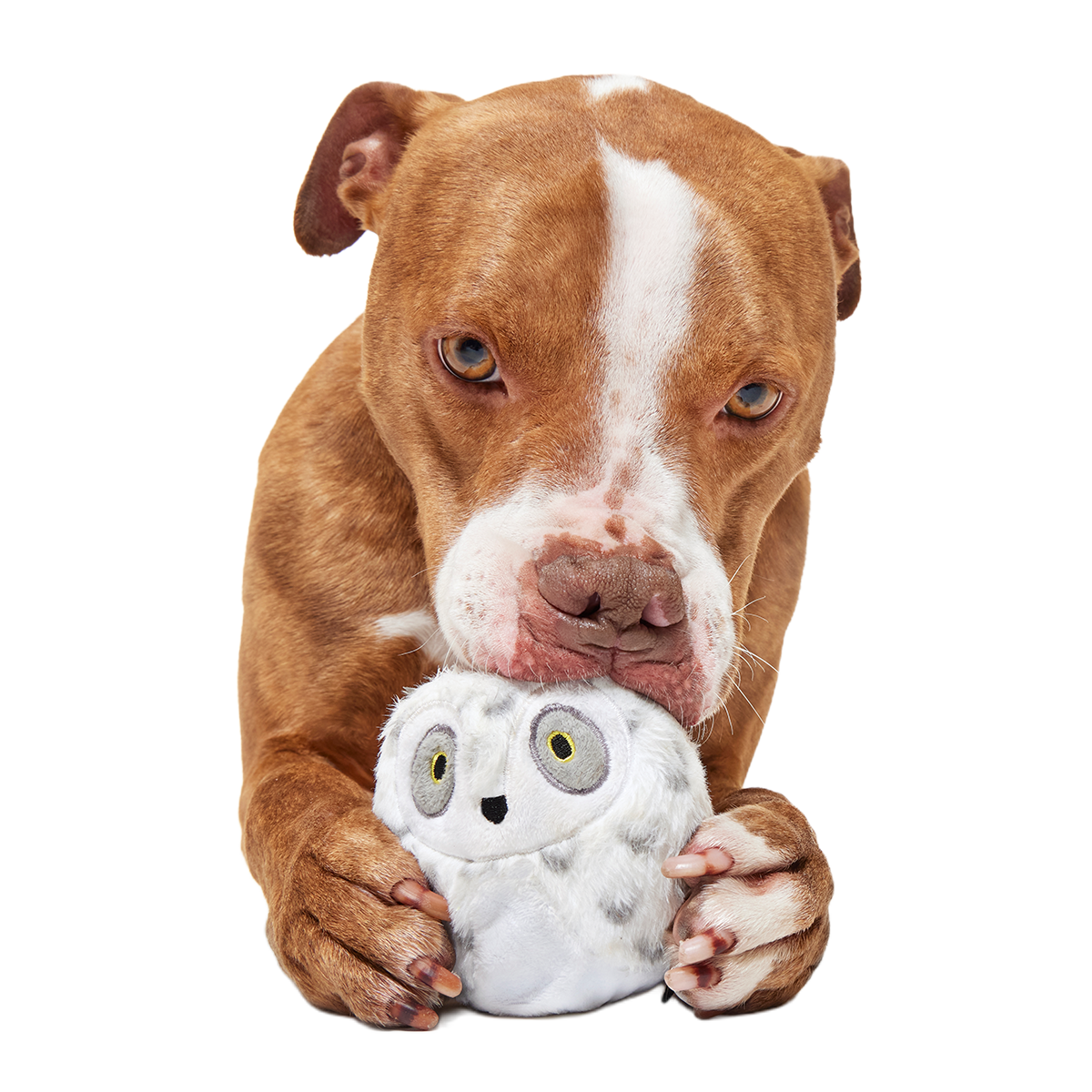 Hedwig™ the Owl Super Chewer Durable 2-in-1 + Fetch Dog Toy