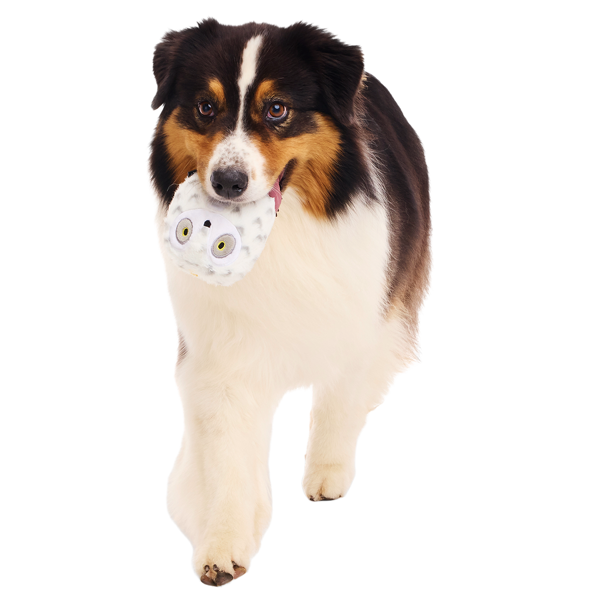 Hedwig™ the Owl Super Chewer Durable 2-in-1 + Fetch Dog Toy
