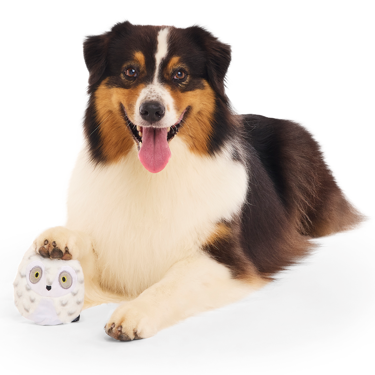 Hedwig™ the Owl Super Chewer Durable 2-in-1 + Fetch Dog Toy