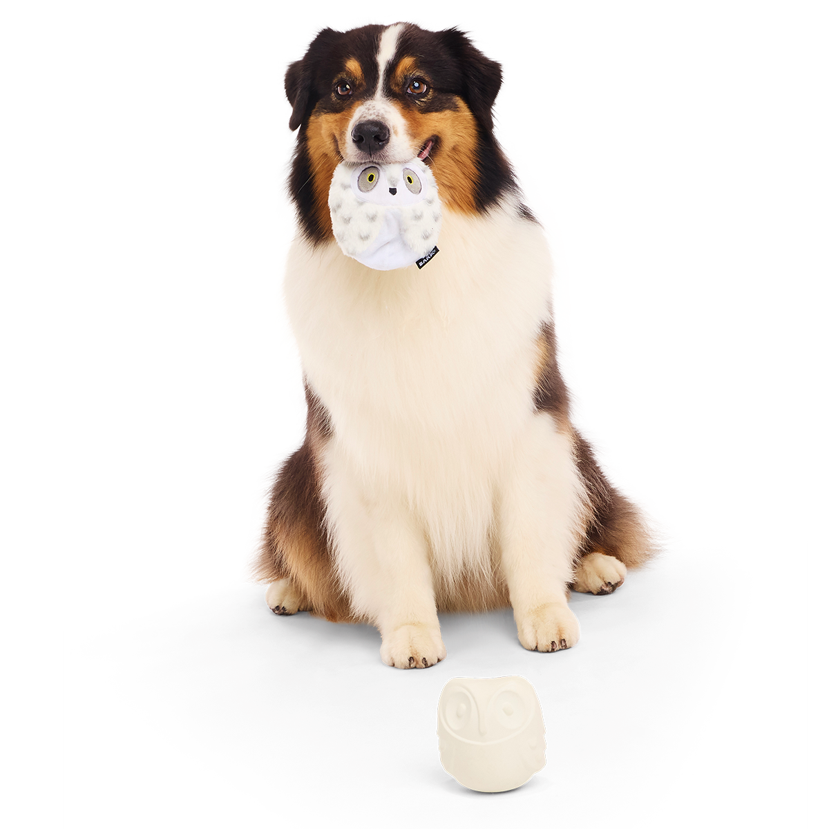 Hedwig™ the Owl Super Chewer Durable 2-in-1 + Fetch Dog Toy
