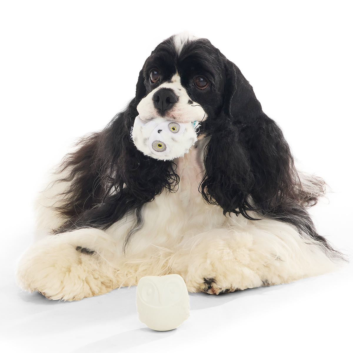 Hedwig™ the Owl Super Chewer Durable 2-in-1 + Fetch Dog Toy
