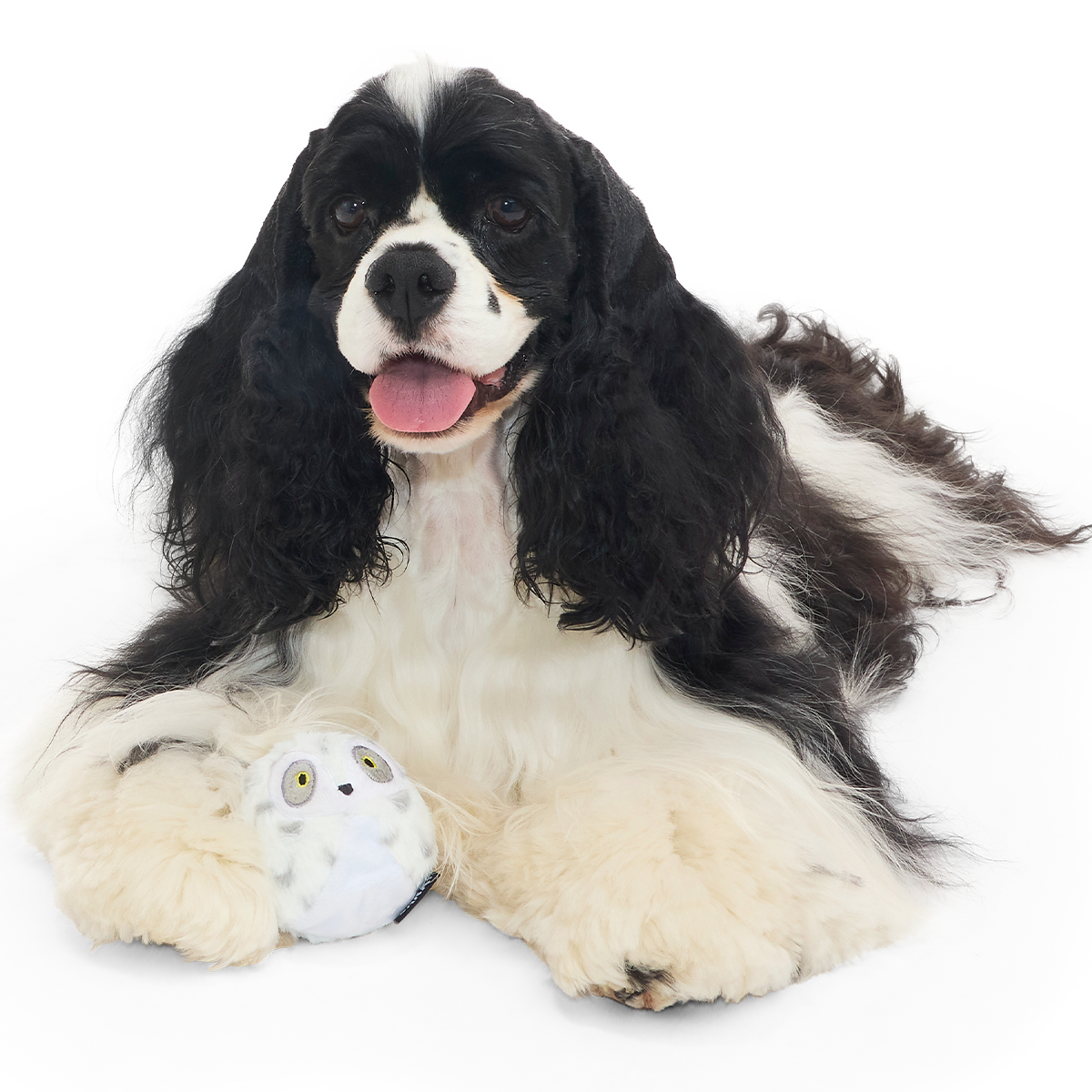 Hedwig™ the Owl Super Chewer Durable 2-in-1 + Fetch Dog Toy