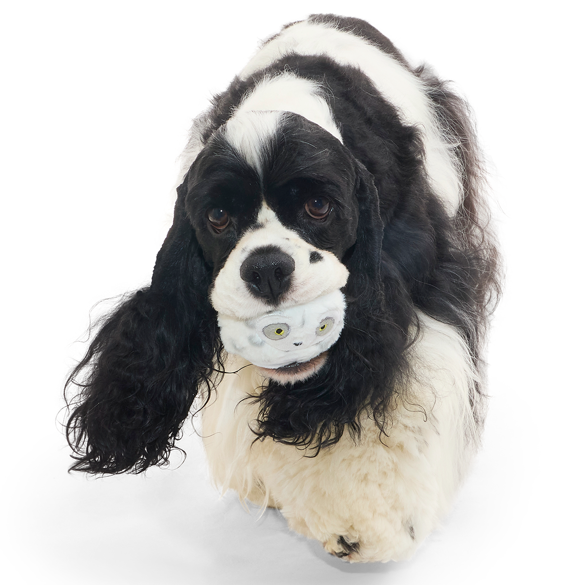 Hedwig™ the Owl Super Chewer Durable 2-in-1 + Fetch Dog Toy