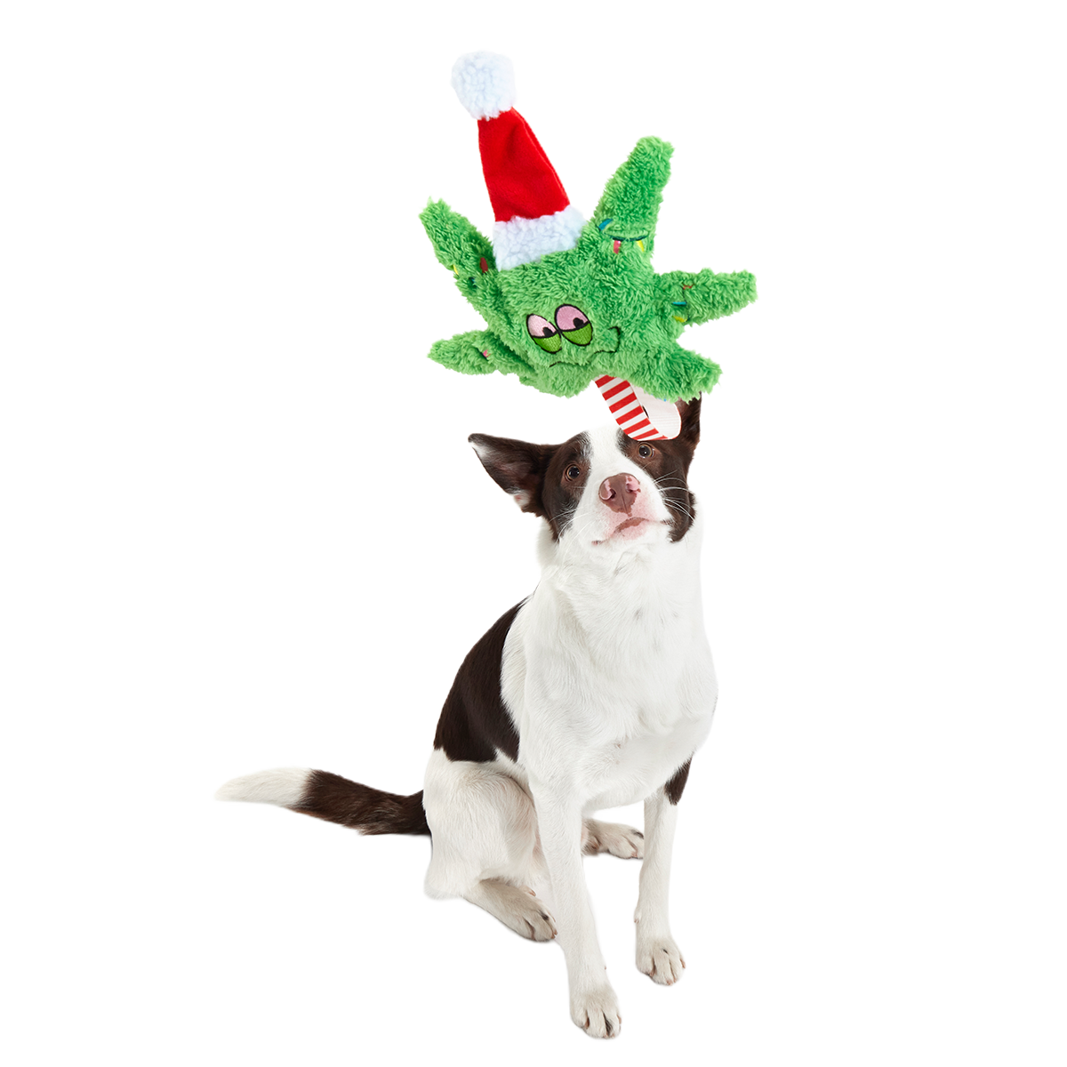 Herbie Holidaze Plush Tug Dog Toy