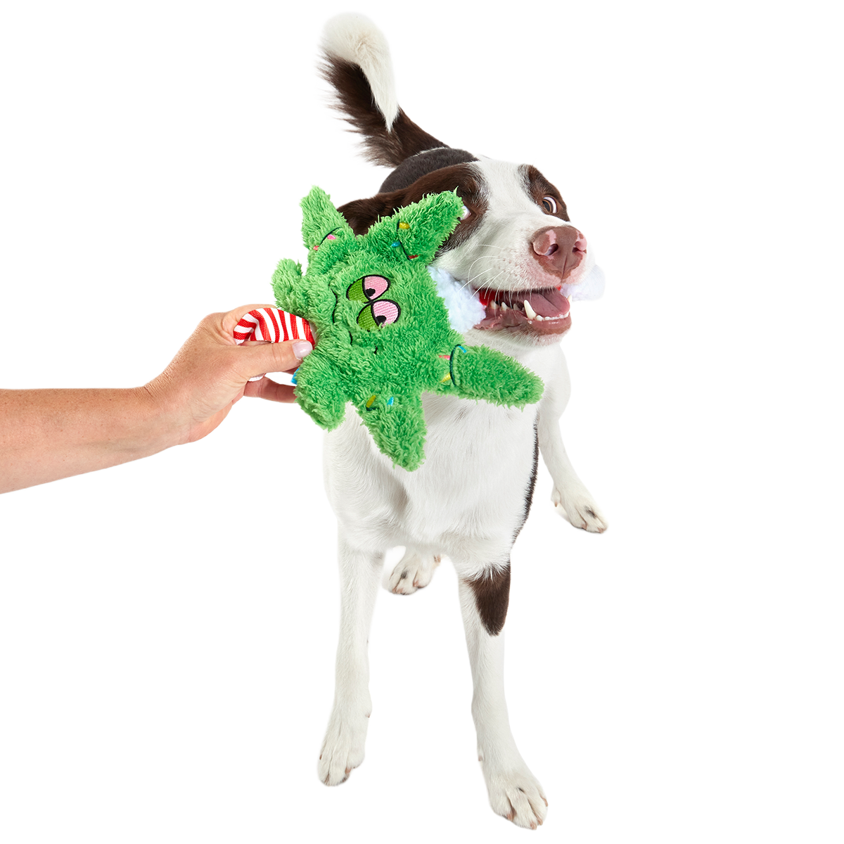 Herbie Holidaze Plush Tug Dog Toy