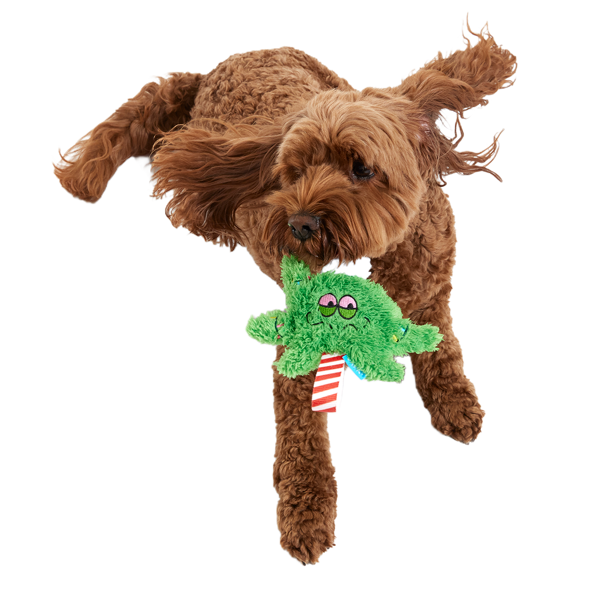 Herbie Holidaze Plush Tug Dog Toy