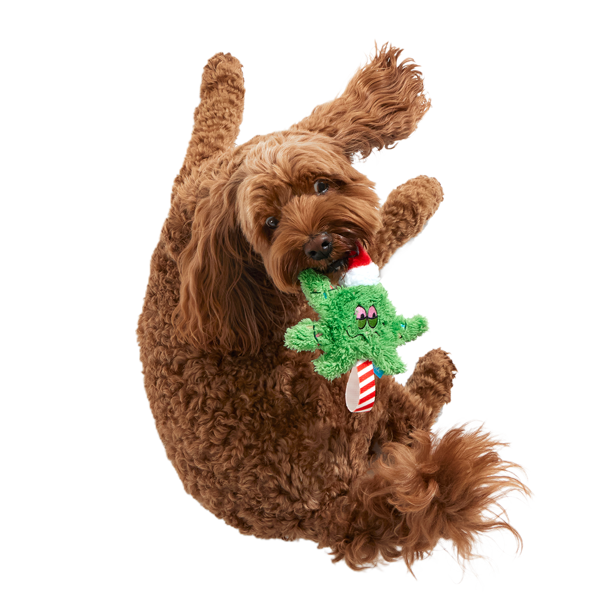 Herbie Holidaze Plush Tug Dog Toy