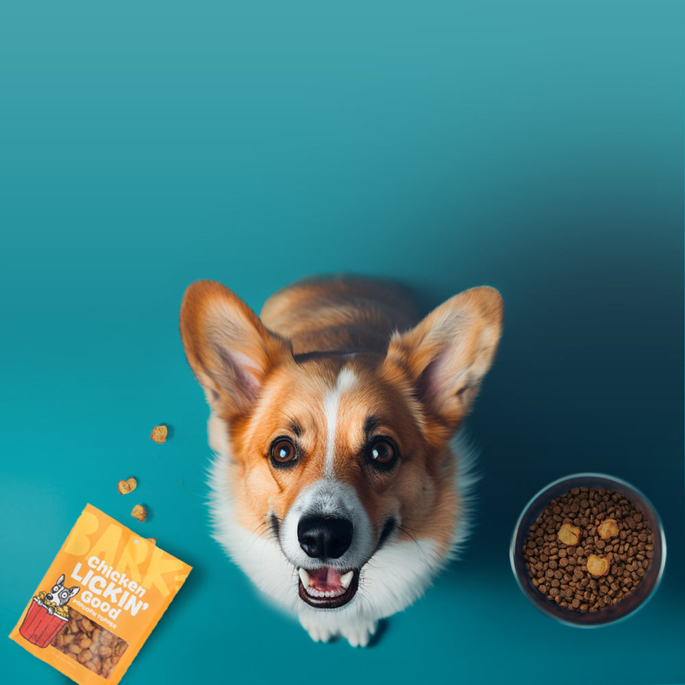 Shop All Dog Products Kibble, Treats, Toppers and Goodies BARK Food