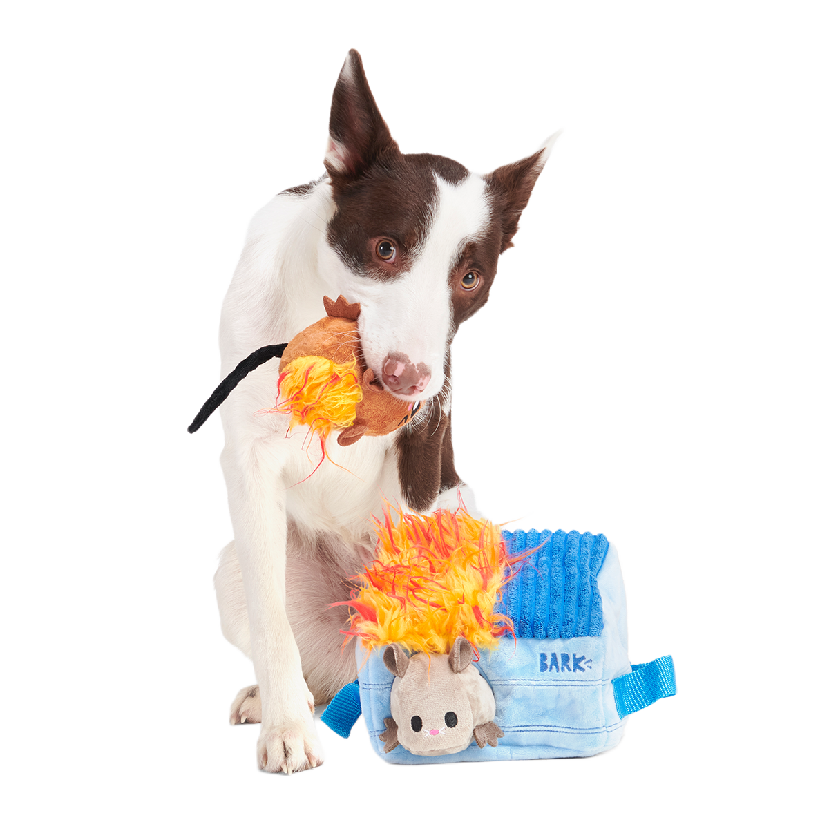 Hide n' Squeak Dumpster Fire Plush Multi-Part + Enrichment Dog Toy