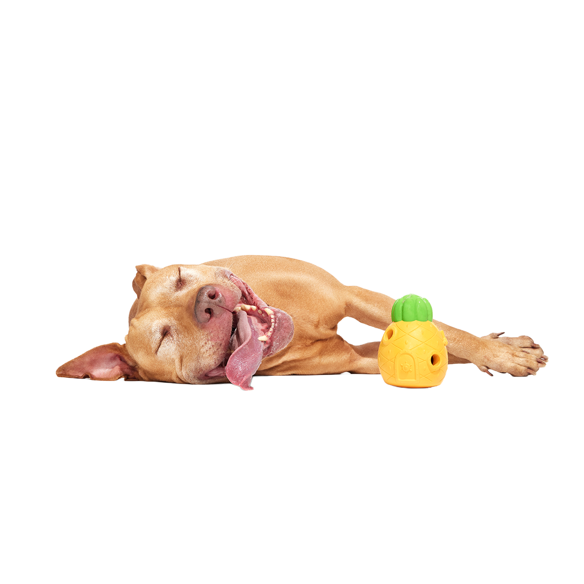 Home Sweet Pineapple Super Chewer Durable Enrichment Dog Toy