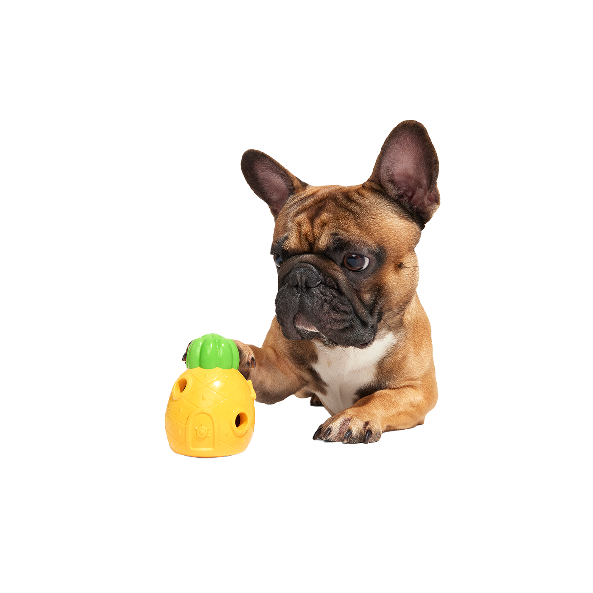 Home Sweet Pineapple Super Chewer Durable Enrichment Dog Toy