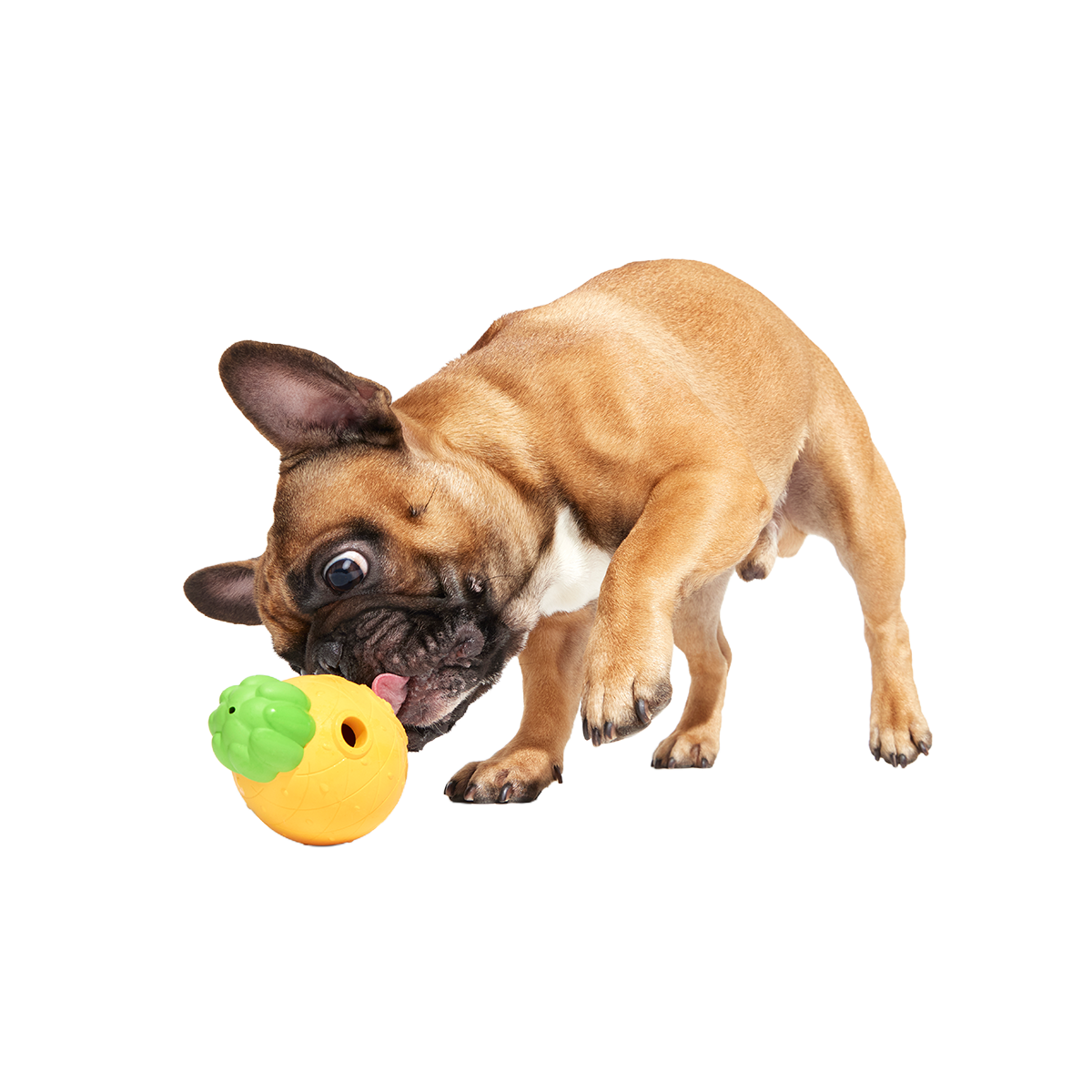 Home Sweet Pineapple Super Chewer Durable Enrichment Dog Toy