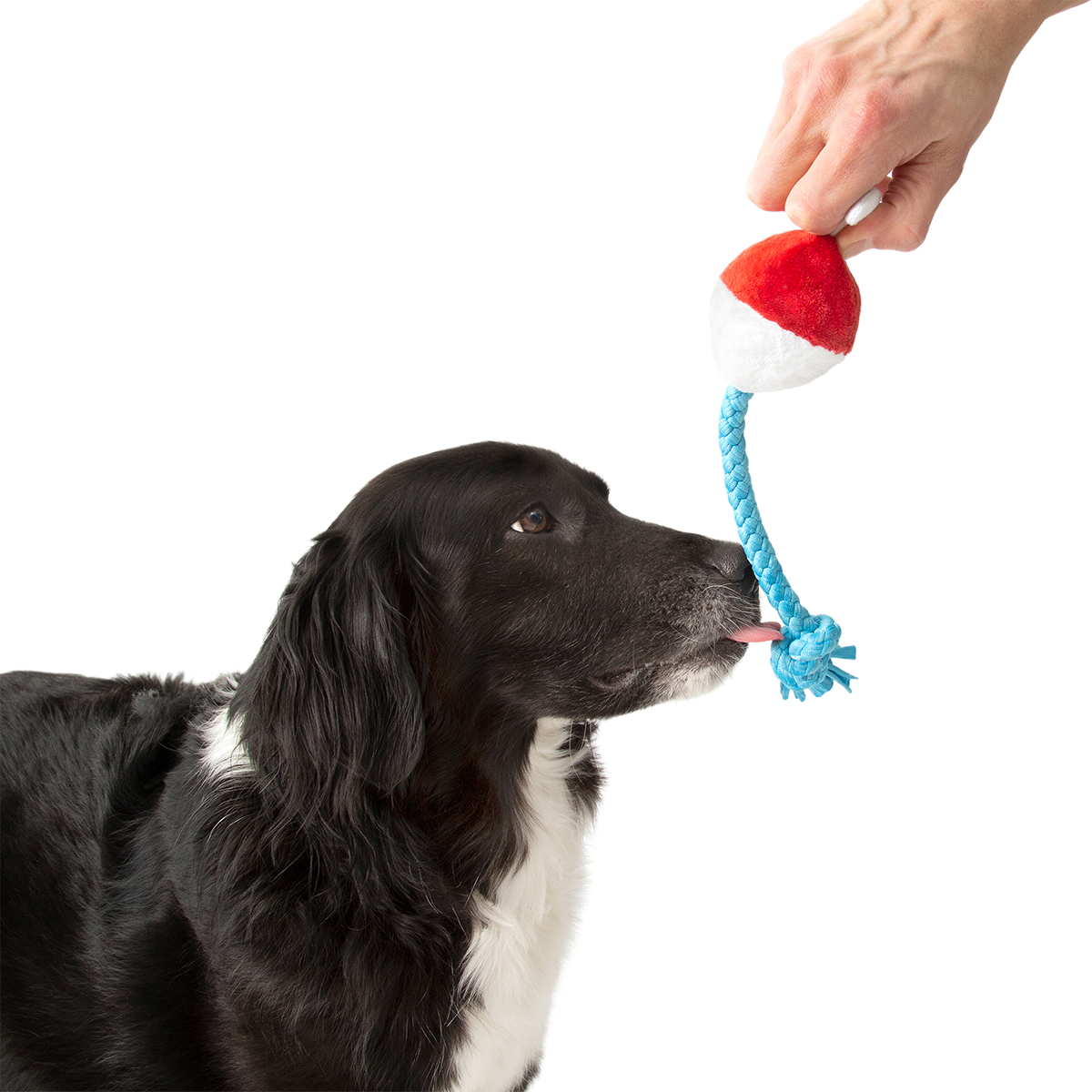 Hook Line and Squeaker Plush Multi-Part + Tug Dog Toy