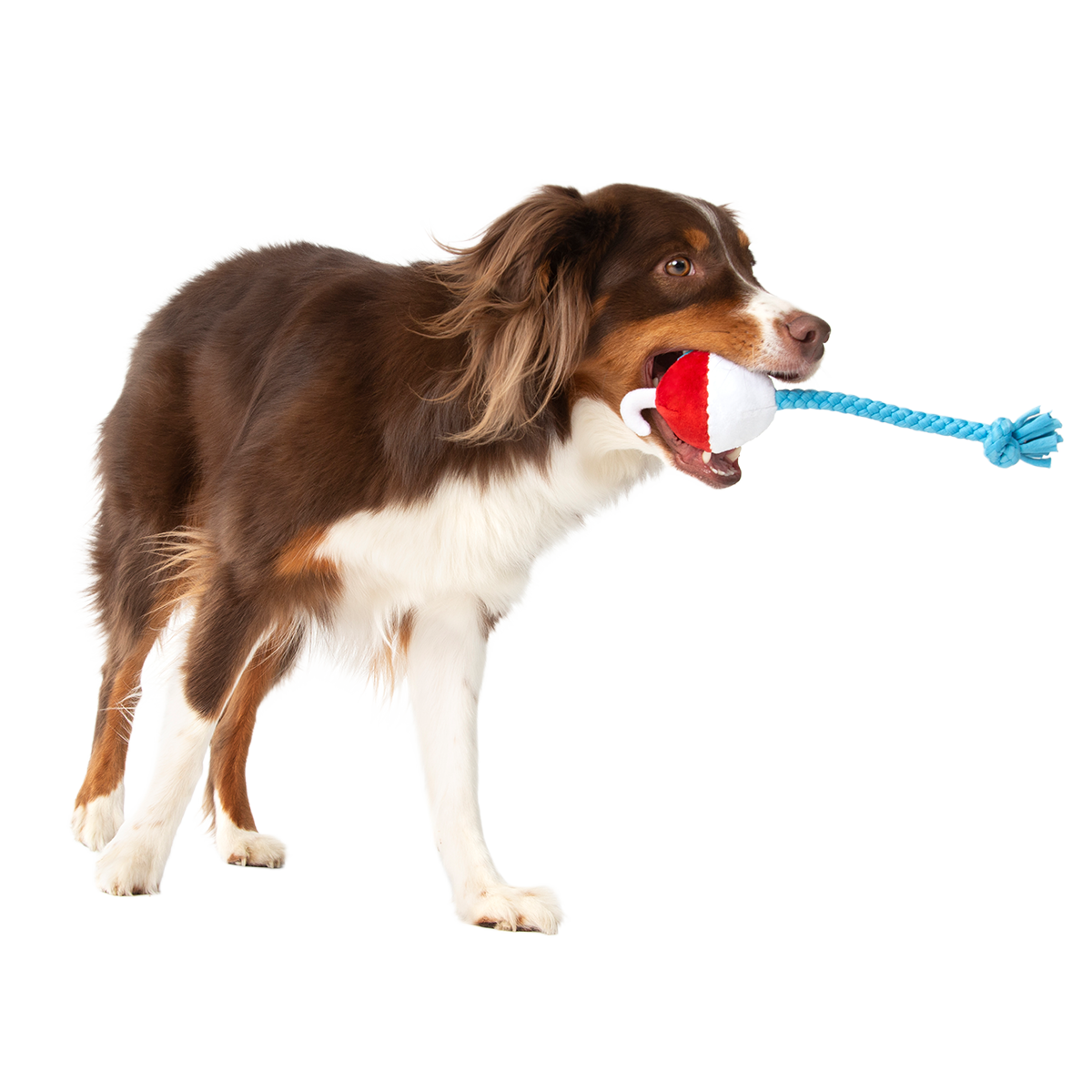 Hook Line and Squeaker Plush Multi-Part + Tug Dog Toy