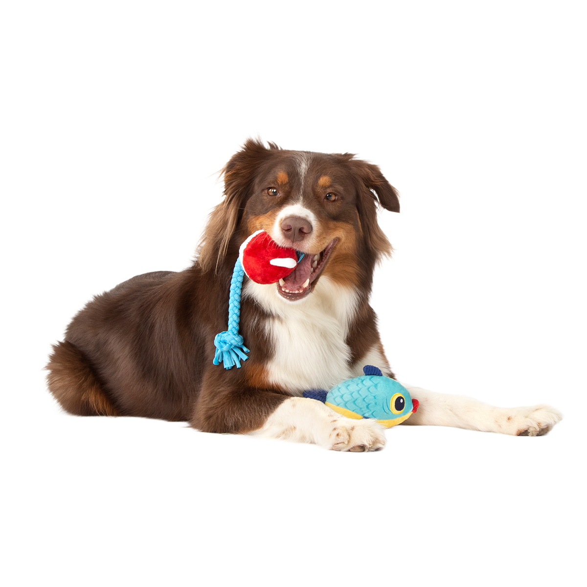 Hook Line and Squeaker Plush Multi-Part + Tug Dog Toy