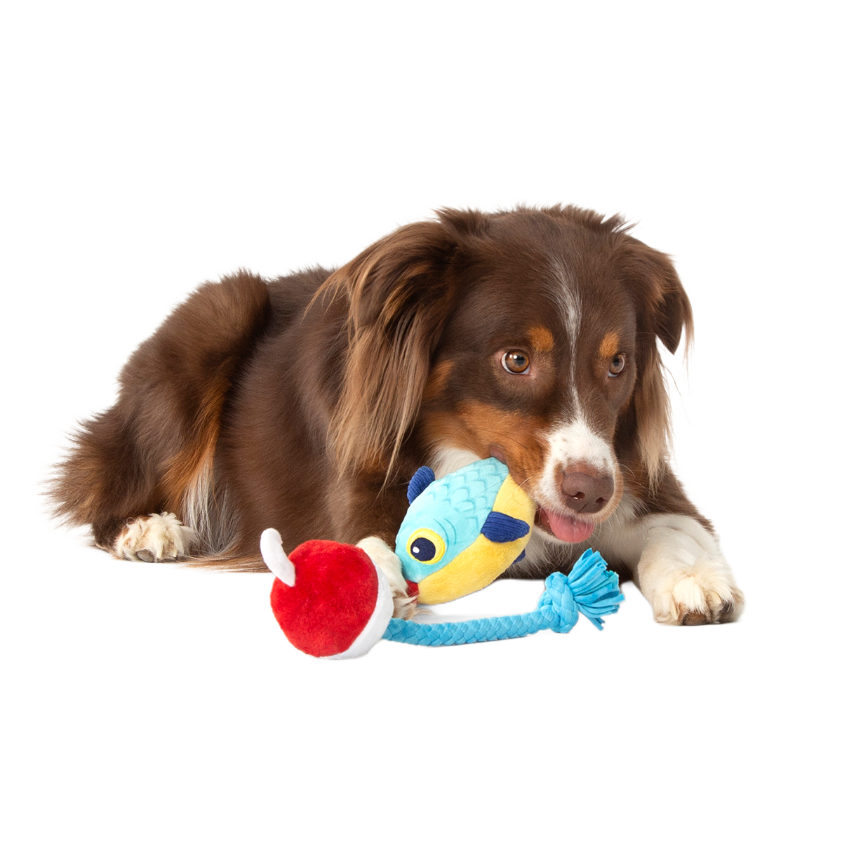 Hook Line and Squeaker Plush Multi-Part + Tug Dog Toy