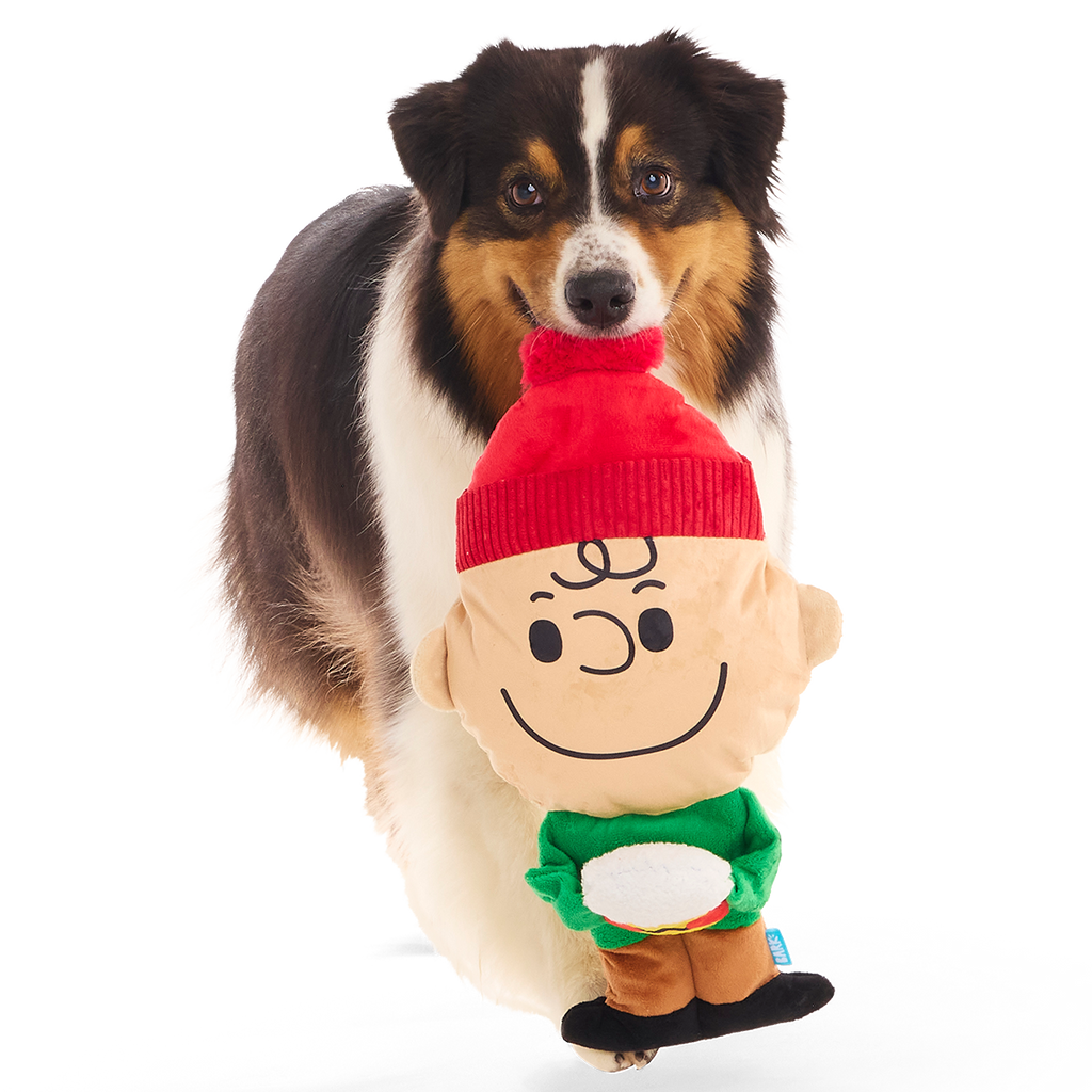 Hot Chocolate Charlie Brown Plush Extra-Large + Tug Dog Toy – BARK