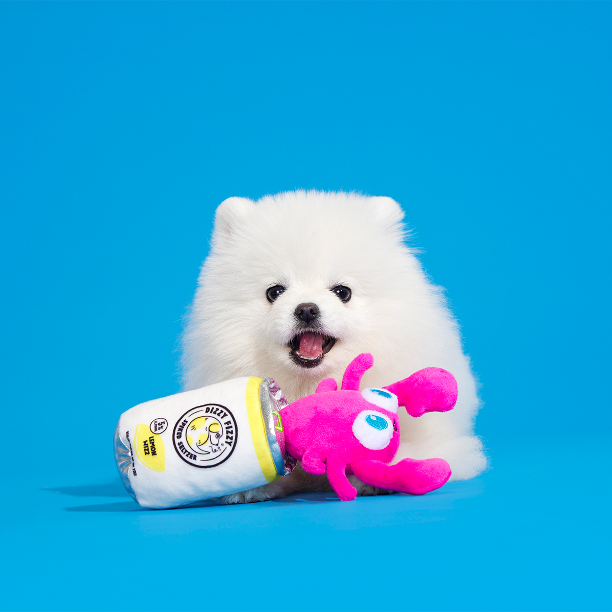 House Party Marty Plush Tug Dog Toy
