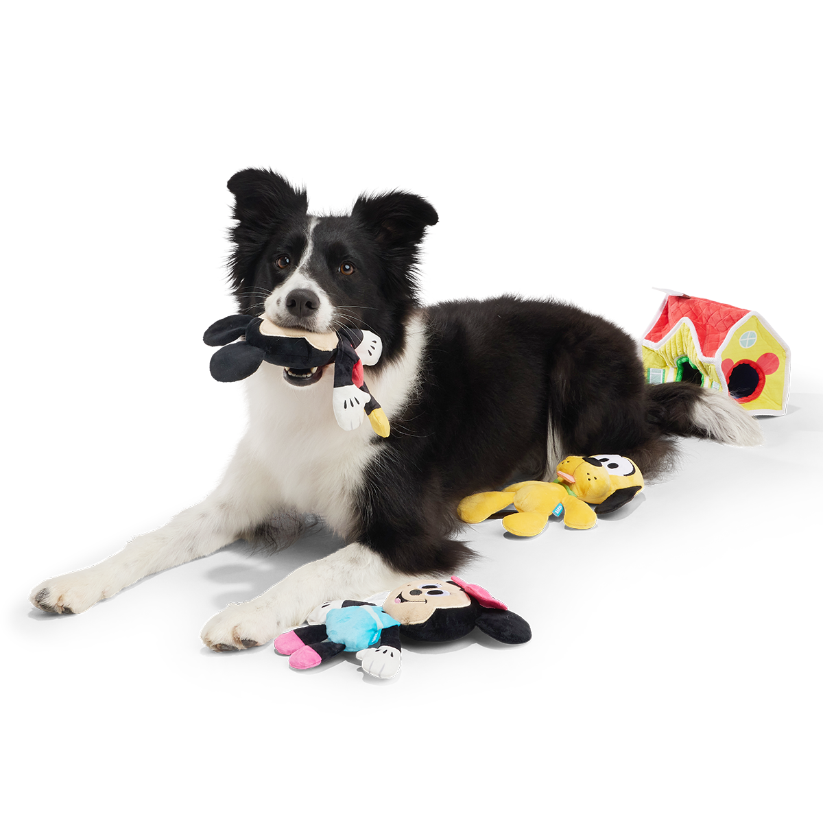 House of Mouse Plush Multi-Part + Enrichment Dog Toy