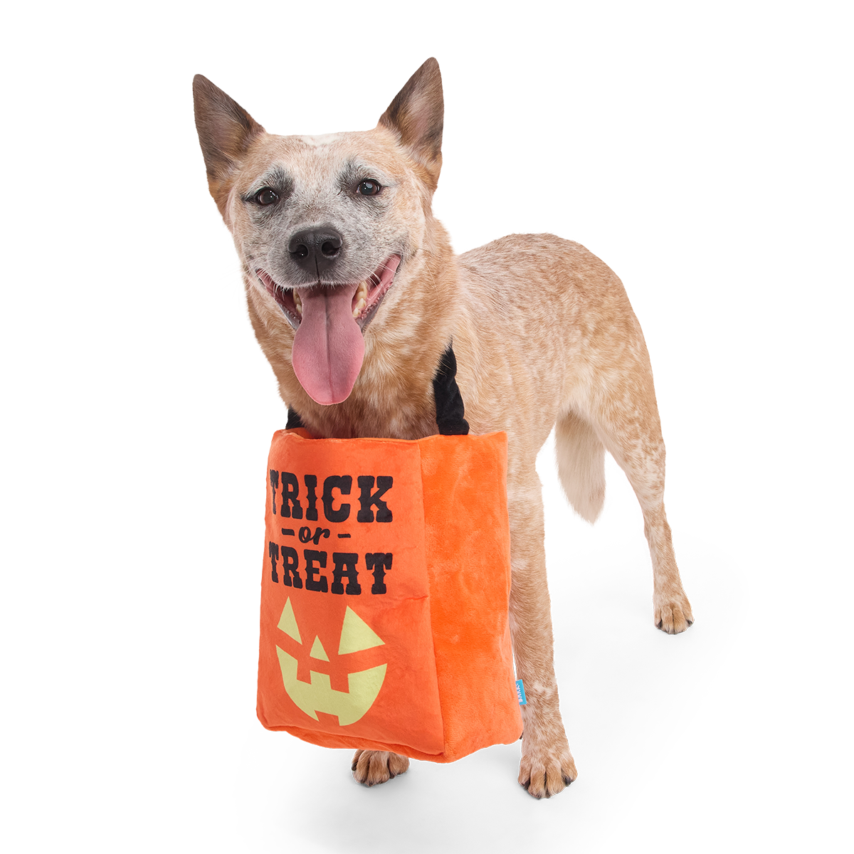 Candy Haul-O-Ween Plush Multi-Part + Tug + Enrichment Dog Toy