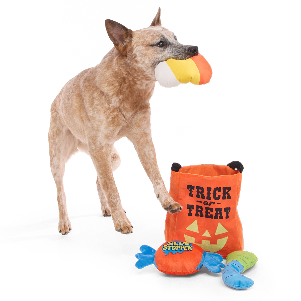 Candy Haul-O-Ween Plush Multi-Part + Tug + Enrichment Dog Toy