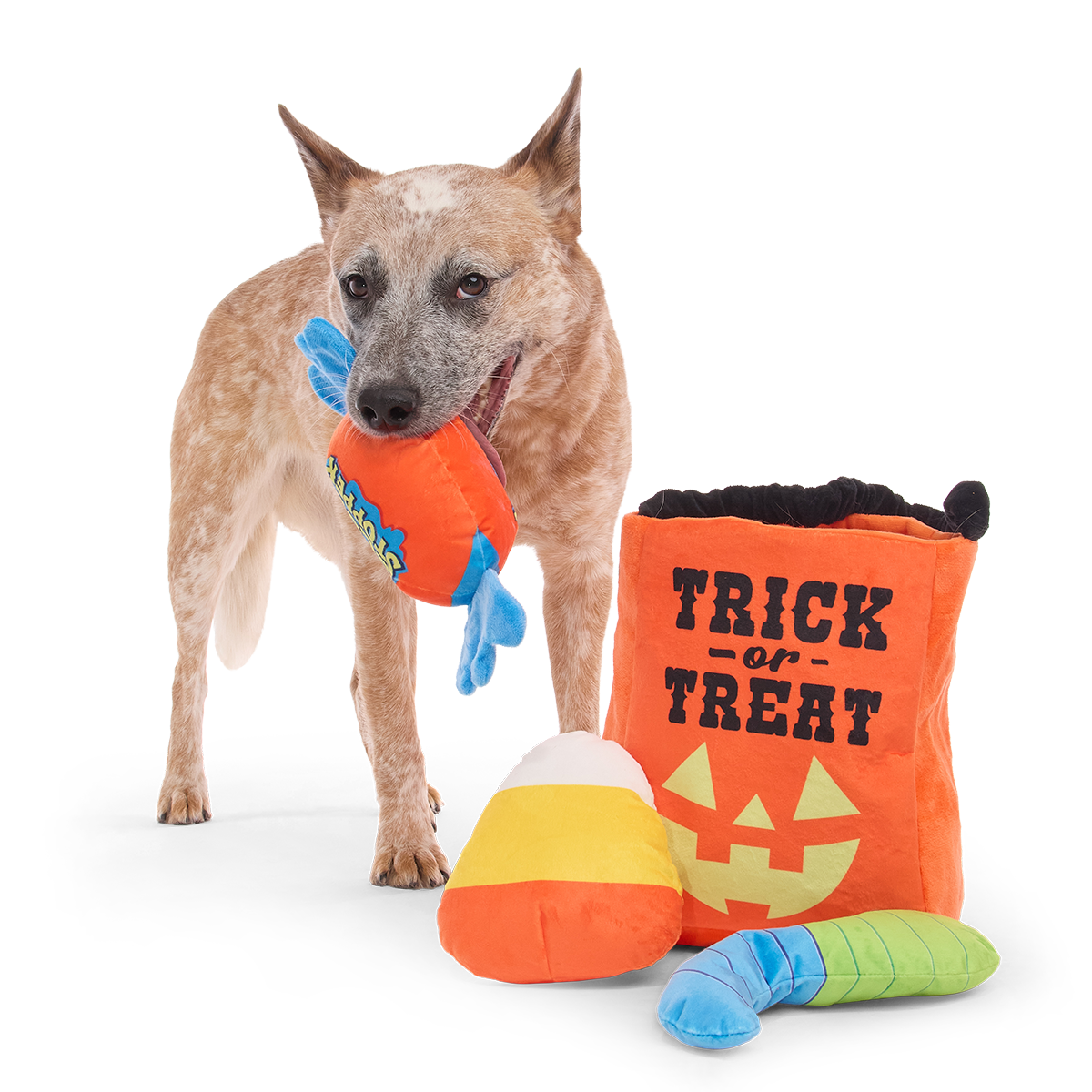 Candy Haul-O-Ween Plush Multi-Part + Tug + Enrichment Dog Toy