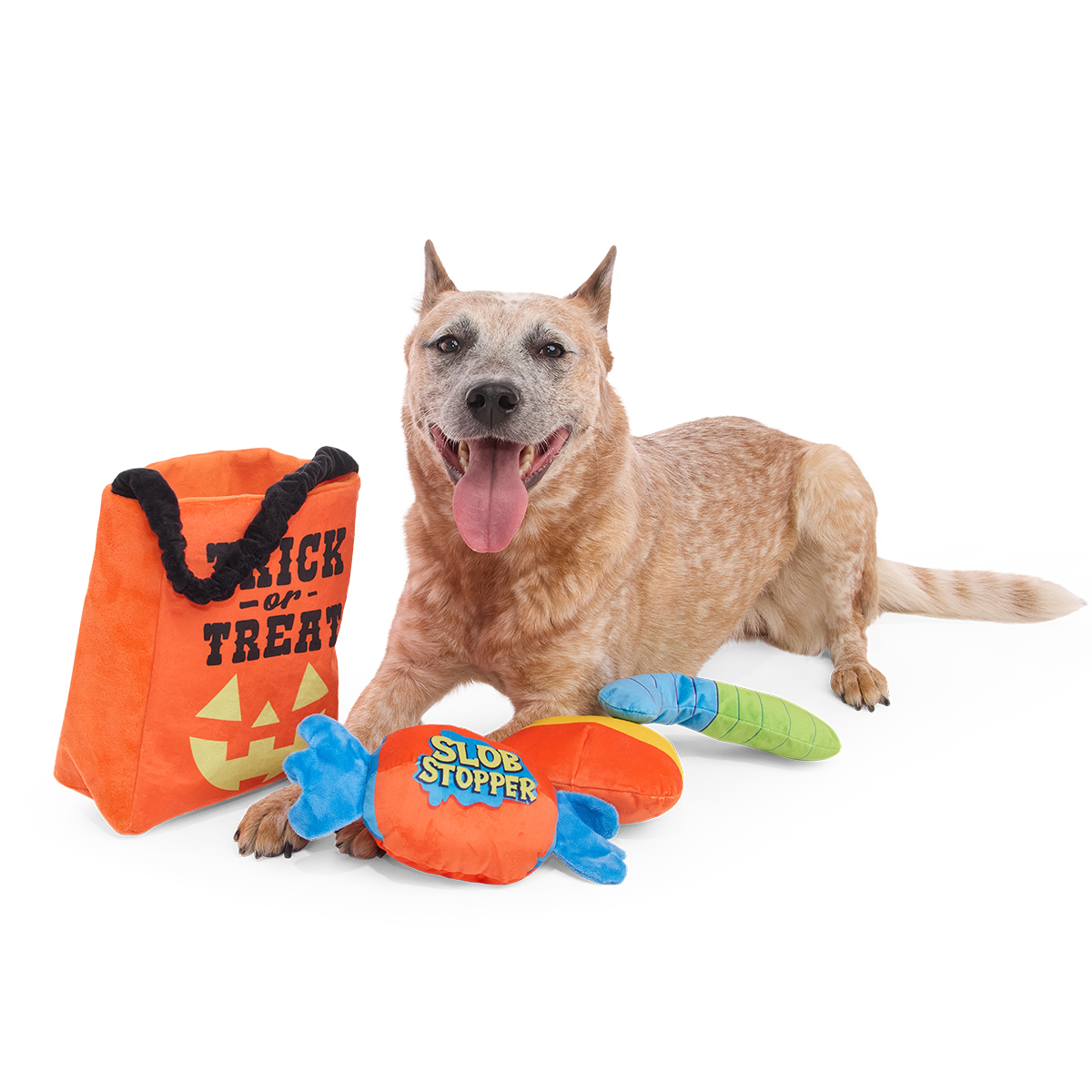 Candy Haul-O-Ween Plush Multi-Part + Tug + Enrichment Dog Toy
