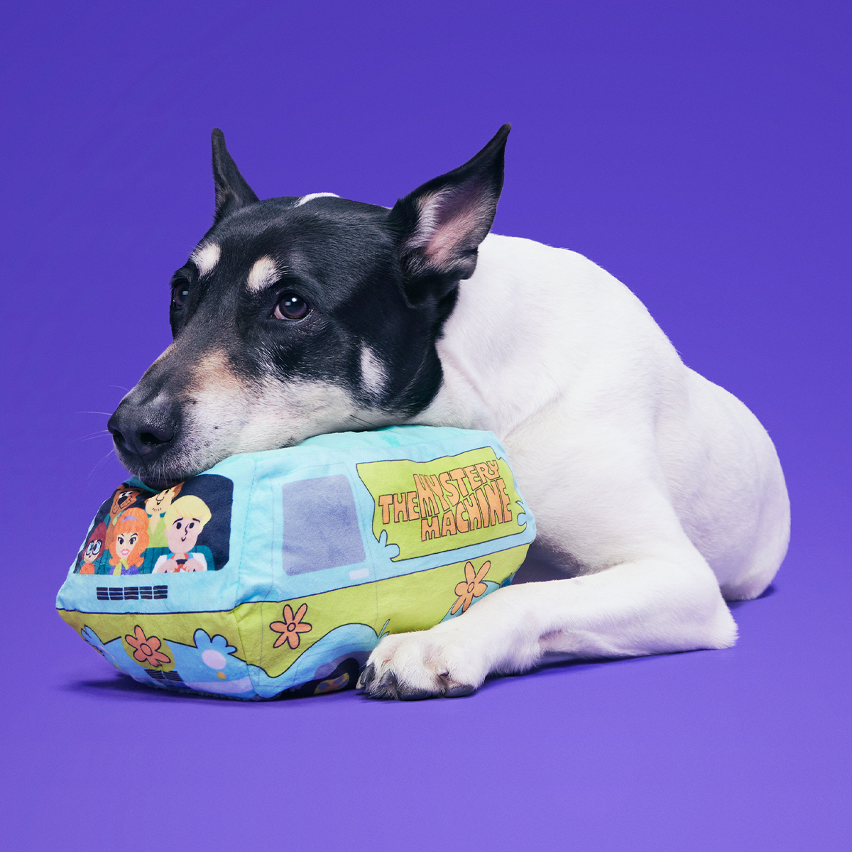 Howloween Mystery Machine™ Plush Extra-Large Dog Toy