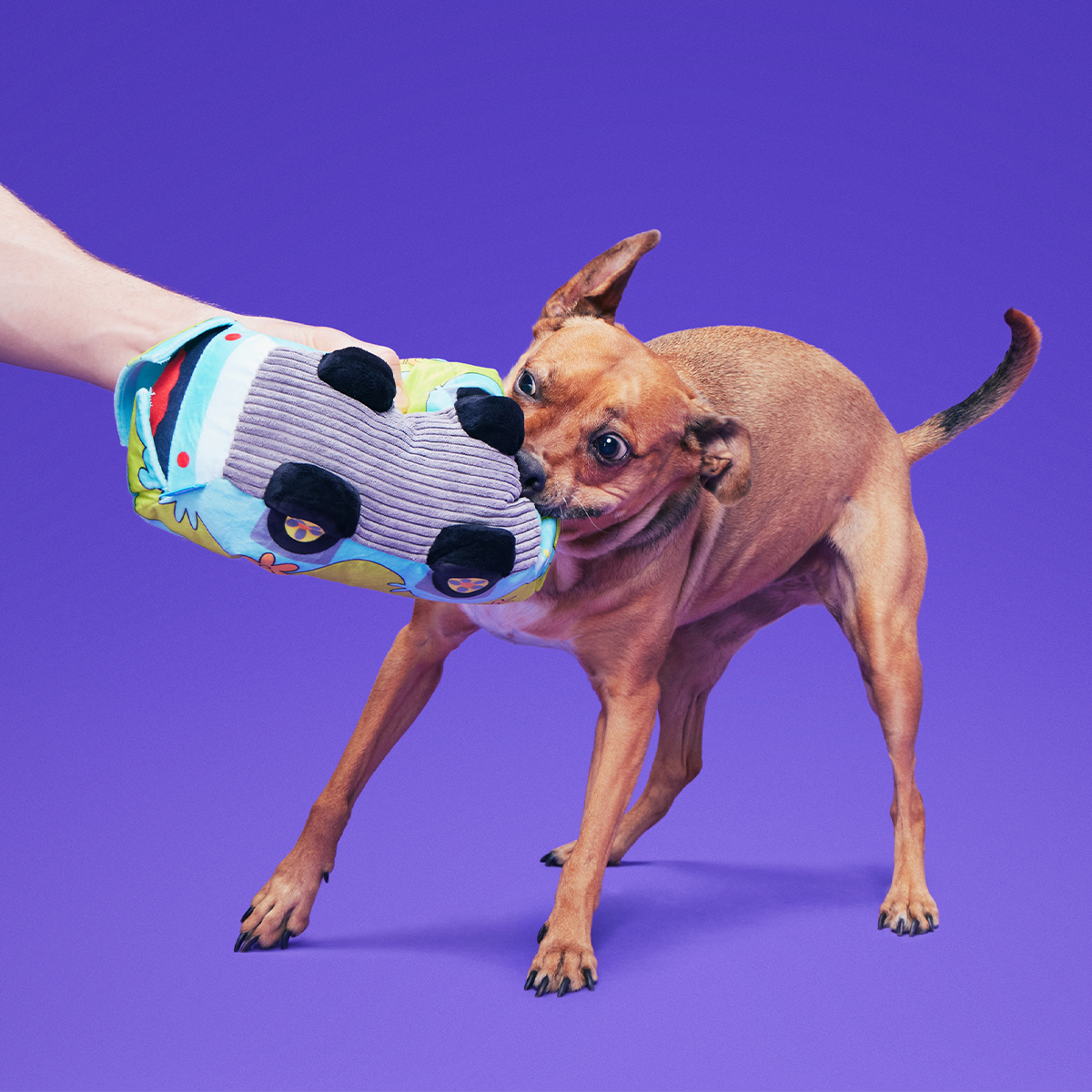 Howloween Mystery Machine™ Plush Extra-Large Dog Toy