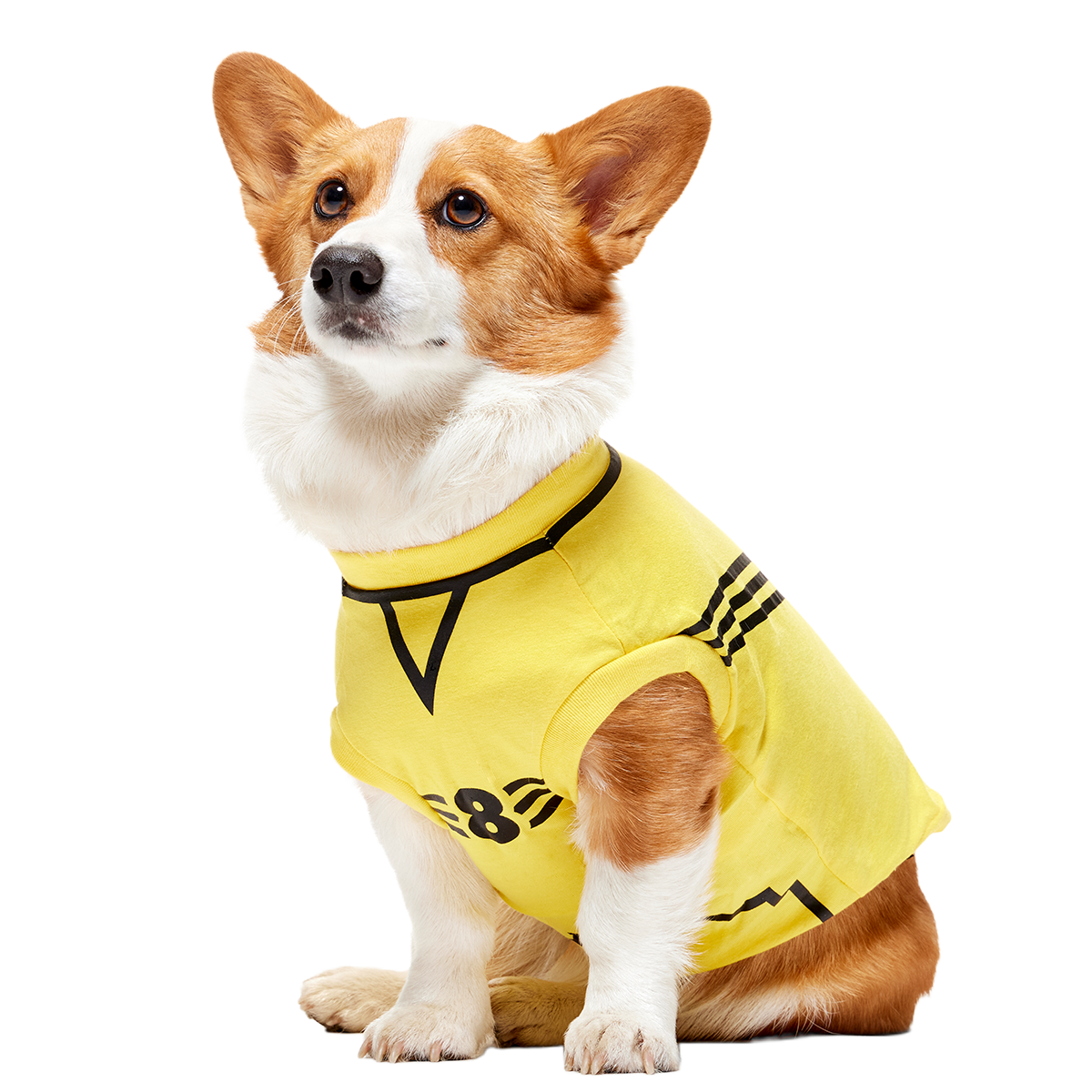 Quidditch™ Jersey#Style_Hufflepuff™